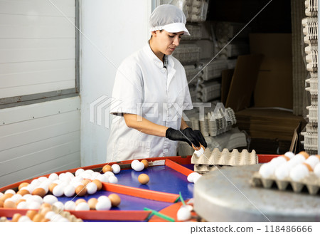 Adult experienced latin woman sorting eggs in chicken farm 118486666