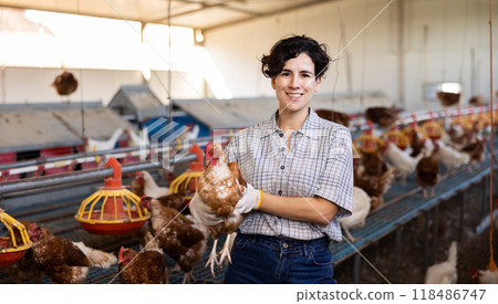 Female farmer holding chicken in poultry farm Female farmer holding chicken in poultry farm 118486747