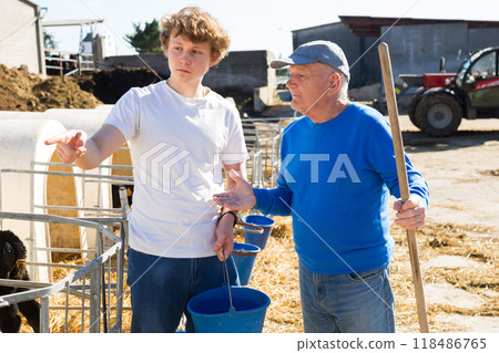 Senior and young men farm workers talking near calf pen 118486765