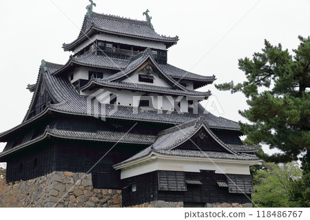 松江城堡城堡塔 松江城堡城堡塔 118486767