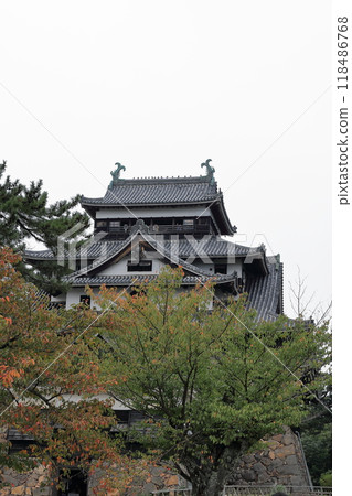 Matsue castle castle tower 118486768