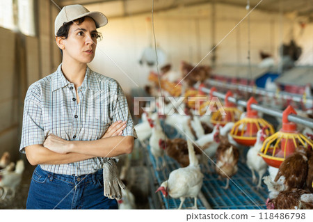 Portrait of a female farmer in poultry farm 118486798