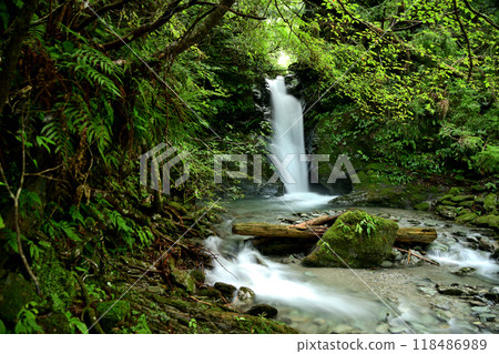 西俁口瀑布[三重縣松阪市飯高町] 118486989