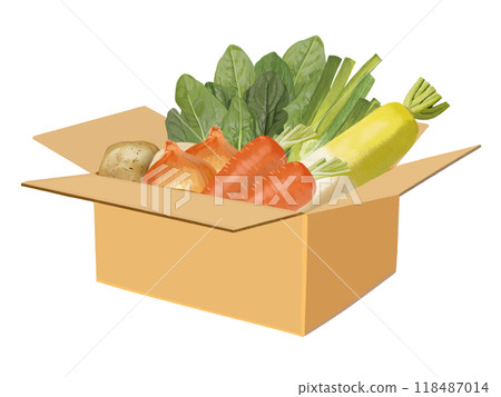Assorted vegetables (winter vegetables) 118487014