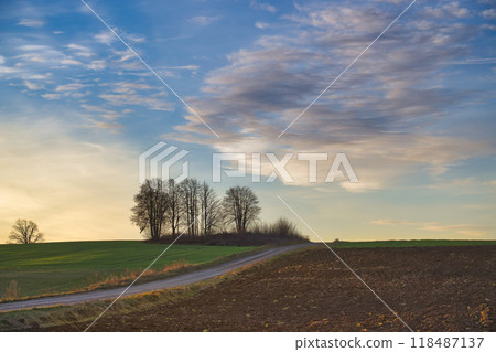 Serene rural landscape with dirt road, trees, and expansive sky under a soft sunset Serene rural landscape with dirt road, trees, and expansive sky under a soft sunset 118487137