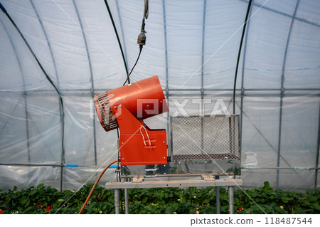 Photosynthesis accelerator in strawberry greenhouse 118487544