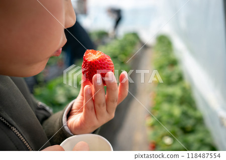 younger, strawberries, strawberry 118487554