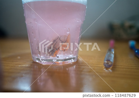 矯正器的護理 118487629