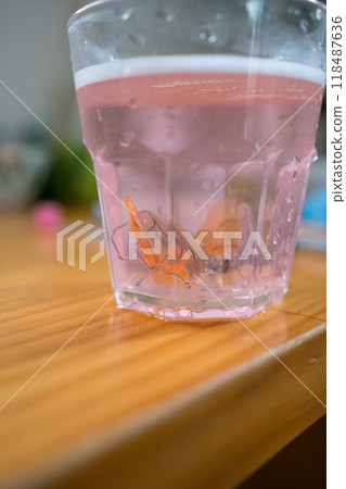 擴大地板清潔 擴大地板清潔 118487636