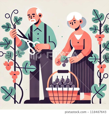 老夫婦摘葡萄 118487643