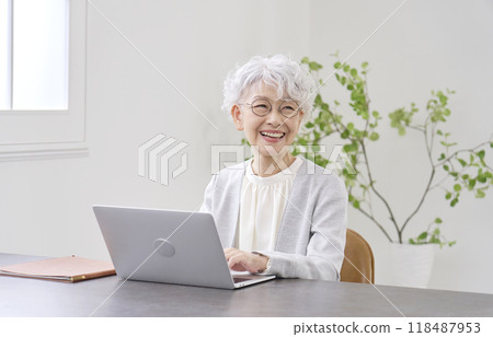 Elderly businesswoman working on laptop in office Elderly businesswoman working on laptop in office 118487953