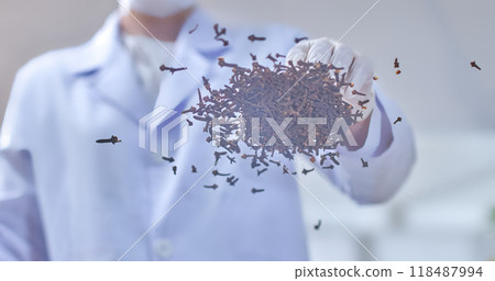 A scientist looks at a handful of dried cloves spread on a transparent glass table. Sample image shows the process of analyzing herbs in a laboratory. A scientist looks at a handful of dried cloves spread on a transparent glass table. Sample image shows the process of analyzing herbs in a laboratory. 118487994