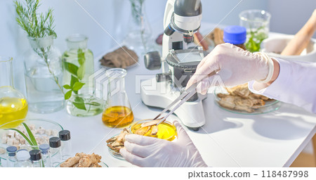A researcher is picking up a piece of dried herb to observe and conduct an experiment in a modern laboratory setting with experimental equipment and herbs around. 118487998