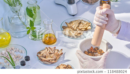 Laboratory background features a scientist hand with a wooden pestle grinds turmeric pieces in a white mortar. Surrounding ingredients showcase a vibrant array of natural herbs in petri dish. 118488024