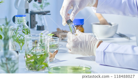 A small jar containing a branch of herbs inside is held up for observation by a scientist, surrounded by branches of herbs soaked in a solution contained in glass containers. 118488027