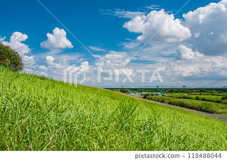 View from the right bank of the Yodo River, Settsu City 118488044