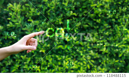Hand point with tree for co2, ESG and net zero. energy saving concept. save our planet, world environment day, world earth day. sustainable development and green business. Hand point with tree for co2, ESG and net zero. energy saving concept. save our planet, world environment day, world earth day. sustainable development and green business. 118488115