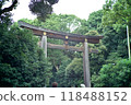 明治神宮的鳥居 118488152