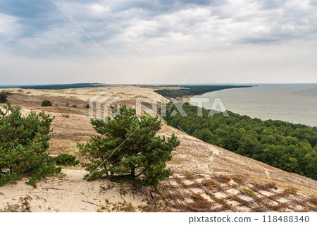 View of Cape Grabst from observation deck on Olenya Buda dunes. Curonian Spit National Park. Russia 118488340