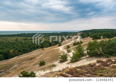 View of Cape from observation deck on Olenya Buda dunes. Curonian Spit National Park. Russia View of Cape from observation deck on Olenya Buda dunes. Curonian Spit National Park. Russia 118488341