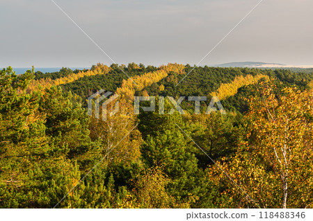 View from the observation deck Mueller height on the forest in Curonian spit national Park in autumn. Russia View from the observation deck Mueller height on the forest in Curonian spit national Park in autumn. Russia 118488346