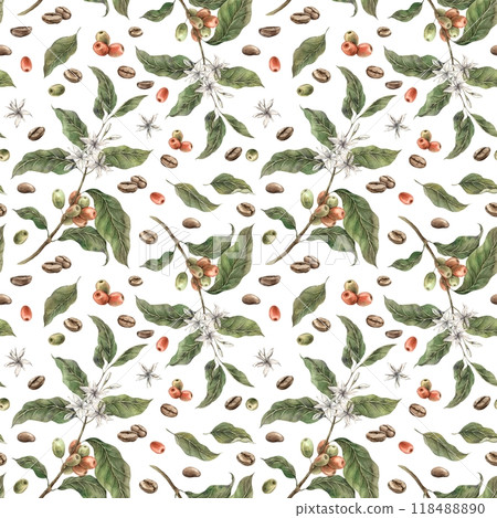 Coffee plant with green leaves and red ripe coffee fruits, with roasted beans. Watercolor hand drawn seamless pattern on white background. For shop, cafe, banners, postcards, packaging design Coffee plant with green leaves and red ripe coffee fruits, with roasted beans. Watercolor hand drawn seamless pattern on white background. For shop, cafe, banners, postcards, packaging design 118488890