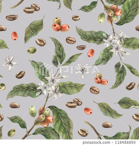 Coffee plant with green leaves and red ripe coffee fruits, with roasted beans. Watercolor seamless pattern hand drawn on gray background. For shop, cafe, banners, postcards, packaging design 118488893