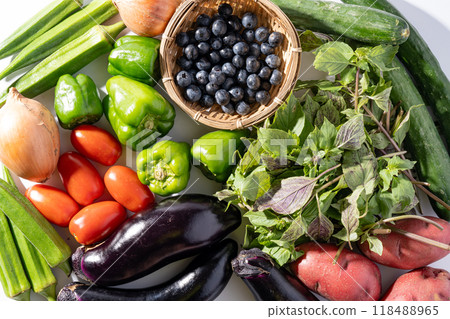 夏季新鮮蔬菜 118488965