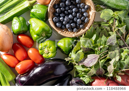夏季蔬菜 118488966