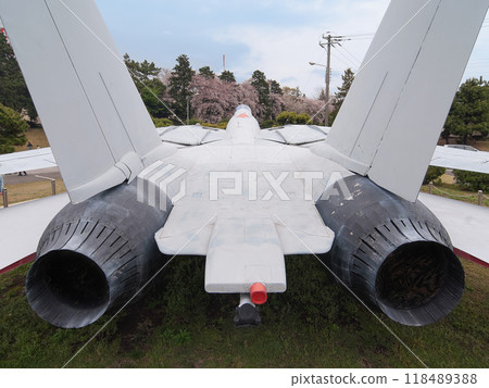 Gate guard of a US Navy F-14A Tomcat 118489388