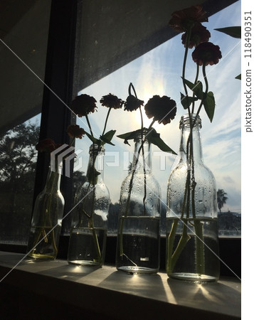 窗戶和鮮花 118490351