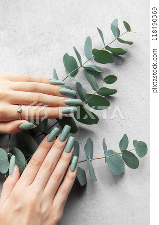 Stylish green manicure displayed alongside fresh eucalyptus leaves on a neutral surface Stylish green manicure displayed alongside fresh eucalyptus leaves on a neutral surface 118490369