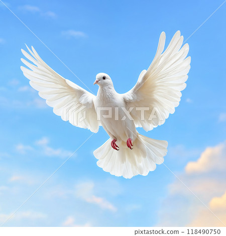 White dove in flight against a blue sky with soft clouds. Dove of Peace. Represents peace and freedom White dove in flight against a blue sky with soft clouds. Dove of Peace. Represents peace and freedom 118490750