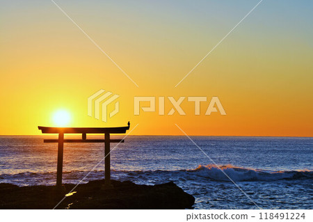 First sunrise from Oarai Isosaki Shrine, Ibaraki Prefecture 118491224