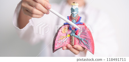 Doctor with Smoker and normal Lung anatomy for Disease. Lung Cancer, Asthma, Chronic Obstructive Pulmonary or COPD, Bronchitis, Emphysema, Cystic Fibrosis, Bronchiectasis, Pneumonia and world Lung day Doctor with Smoker and normal Lung anatomy for Disease. Lung Cancer, Asthma, Chronic Obstructive Pulmonary or COPD, Bronchitis, Emphysema, Cystic Fibrosis, Bronchiectasis, Pneumonia and world Lung day 118491711