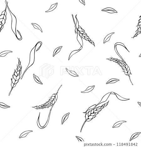 Wheat ear, barley monochrome vector seamless pattern isolated. Repeated texture of spikelet of rye, grains black white contour painted by ink for design textile, wrapping paper, packaging, bakery. 118491842