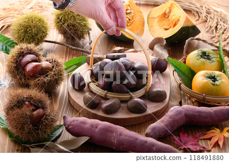 Taste of autumn (chestnut, pumpkin, persimmon, sweet potato) Taste of autumn (chestnut, pumpkin, persimmon, sweet potato) 118491880