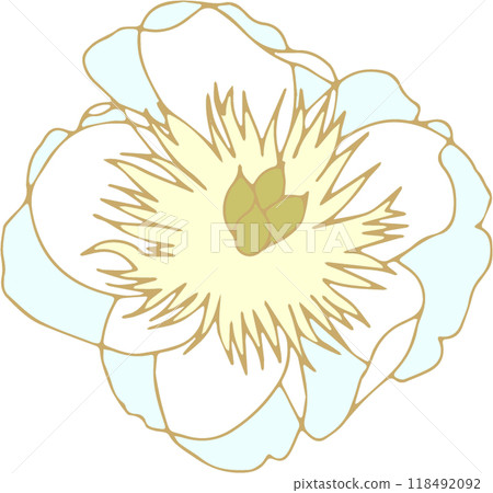 酷牡丹花的插圖 118492092