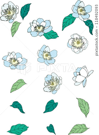 牡丹花插圖集 牡丹花插圖集 118492093