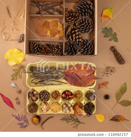 Nature themed composition featuring two cardboard boxes filled with grasses, leaves, seeds, feathers, pine cones, wood slices, twigs, and scattered items like red leaves, acorns, and berries., Nature themed composition featuring two cardboard boxes filled with grasses, leaves, seeds, feathers, pine cones, wood slices, twigs, and scattered items like red leaves, acorns, and berries., 118492157