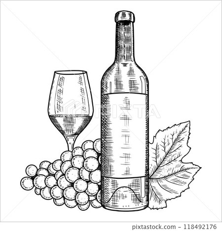 Hand drawn bottle of wine, glass, grapes. Vector illustration 118492176