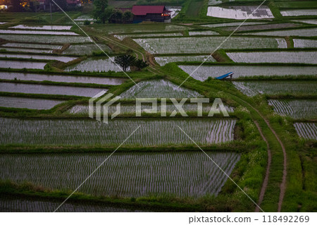 Sawaradaira rice terraces in the moonlight 118492269