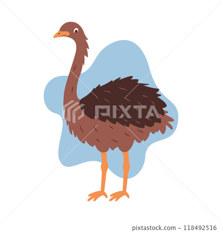 Cute Ostrich Brown African Big Bird Nature Wildlife Animal Character Cute Ostrich Brown African Big Bird Nature Wildlife Animal Character 118492516