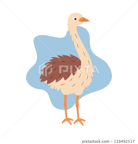Cute Ostrich Brown African Big Bird Nature Wildlife Animal Character 118492517