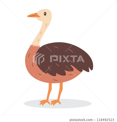 Cute Ostrich Brown African Big Bird Nature Wildlife Animal Character 118492523