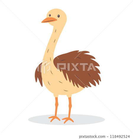 Cute Ostrich Brown African Big Bird Nature Wildlife Animal Character 118492524
