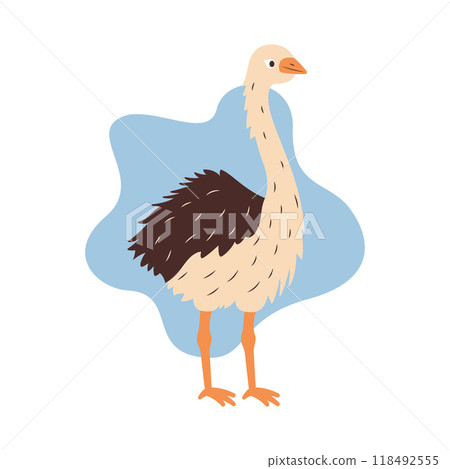 Cute Ostrich Brown African Big Bird Nature Wildlife Animal Character Cute Ostrich Brown African Big Bird Nature Wildlife Animal Character 118492555