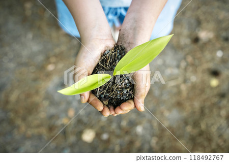 Sprout plant in hands. Agriculture, sustainable development, ecology concept. Sprout plant in hands. Agriculture, sustainable development, ecology concept. 118492767