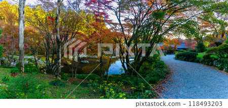 Enjoy the spectacular scenery of nature throughout the four seasons: Panoramic view of the autumn foliage promenade at Environmental Art Forest (Karatsu City, Saga Prefecture) Enjoy the spectacular scenery of nature throughout the four seasons: Panoramic view of the autumn foliage promenade at Environmental Art Forest (Karatsu City, Saga Prefecture) 118493203