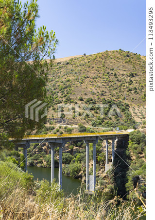 Parque Arqueologico Vale do Coa (Coa valley), UNESCO site, paleolithic rock art paintings, Northern Portugal, Portugal Parque Arqueologico Vale do Coa (Coa valley), UNESCO site, paleolithic rock art paintings, Northern Portugal, Portugal 118493296